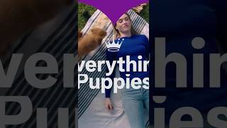 Everything Puppies 2024 Lovely Romantic Hallmark Trailer [upl. by Leafar]