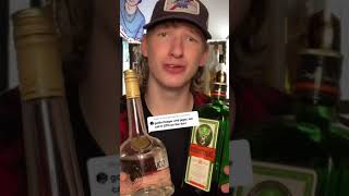 REAL GOLD Goldschlager Cinnamon Liquor amp Jager Mix Is it good [upl. by Onairelav712]