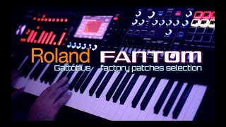 New ROLAND FANTOM  Gattobus Factory Patches Selection [upl. by Pompei4]