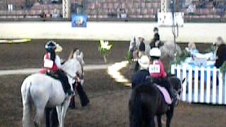 Walk Corto Leadline at Midwest Classic 2011 [upl. by Gerrit]