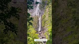 Wairere Waterfall  New Zealand newzealand waterfall ll [upl. by Auqenat]