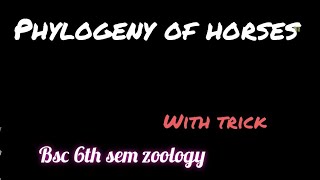 Phylogeny of horses  Evolution of horses Bsc 6th sem zoology unit 3  with trick to learn [upl. by Yenruoj]