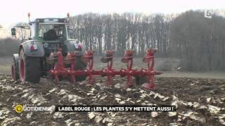 Label Rouge les plantes sy mettent aussi  La Quotidienne  France 5  27022015 [upl. by Hancock722]