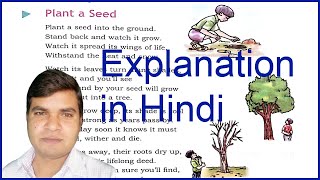 Plant a Seed Class5🔥English Literature Class 5 DAV🔥Plant a Seed dav [upl. by Oidacra]