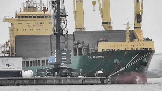 Seeschiff AAL GEELONG 5BLQ2 IMO 9393539 epas Emden Nordkai geared cargo seaship [upl. by Eiramesor882]