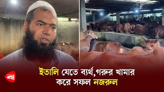 ইতালি যেতে ব্যর্থগরুর খামার করে সফল নজরুল  Cow farm in bangladesh  Protidiner Bangladesh [upl. by Sheela342]