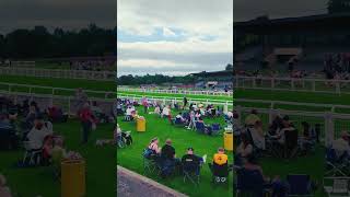 🐴 A day at Ripon races North Yorkshire 💛💙 August 2024 wombleswithken 👣 [upl. by Cirillo]