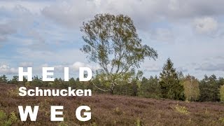 Heidschnuckenweg  Etappe 2 Buchholz – Handeloh  Wandern Lüneburger Heide [upl. by Burrell836]