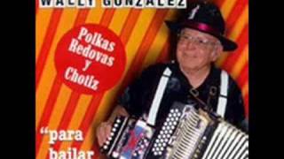 WALLY GONZALES she to fat for me CONJUNTO DEL VALLUCO [upl. by Euqinahs]