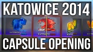 10x KATOWICE 2014 CAPSULE OPENING THE iBUYPOWER HOLO DREAM [upl. by Tyler]