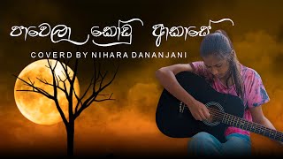 Pawela Kodu Akase පාවෙලා කෝඩු ආකාසේ  Coverd by Nihara Dananjani  plz use headphones [upl. by Nilam]