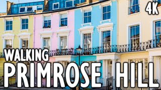 Primrose Hill  The Most Expensive Areas to Live in London  4K Walking Tours [upl. by Marr553]