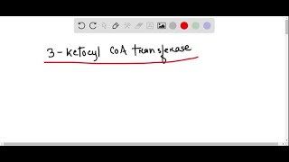 Why is it important that liver cells lack 3 ketoacylCoA transferase Fig 2527 [upl. by Ibbison]