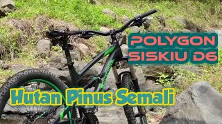 Sepeda Polygon Siskiu D6 Andalan Offroad menyeberang Sungai dan Hutan Pinus di Musim Kemarau [upl. by Aeresed]