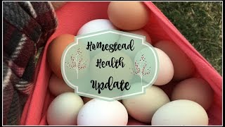 Homestead Health Update [upl. by Ecirtnahc]