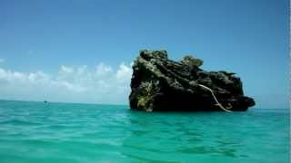 Tobacco Bay Bermuda under water cam [upl. by Danieu]