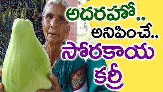 Sorakaya kurry l సొరకాయ కూర l Bottle Gourd Curry Recipe l Anapakaya Kurry l Villagefood4u [upl. by Leverett]