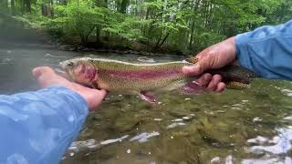 So Many Trout PEQUEST RIVER NJ [upl. by Darrey27]