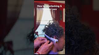 How to Interlock Locs Using the Y Technique dreadlocks interlockingdreadlocks [upl. by Fenwick]