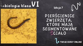 Biologia klasa 6 Lekcja 7  Pierścienice  zwierzęta które mają segmentowane ciało [upl. by Eiramlatsyrk376]