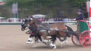 Hengstparade Warendorf 2017  Altrömische Jagdanspannung [upl. by Ailes]