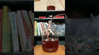 Making Wine at Home Racking  Stabilizing  Back Sweetening shorts [upl. by Kutchins]