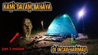 CAMPING HORROR DI INTAI BINATANG BUAS SESAT KEMPING DI HUTAN LORONGAN HARIMAU [upl. by Amabelle]