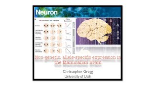 Nongenetic allelic effects in the Mammalian brain [upl. by Aielam302]