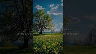 Wedding Nasheed  Vocals only  Urdu and English subtitles ✨ nasheed [upl. by Aciamaj]