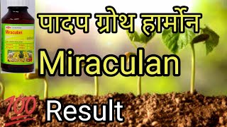 miraculan fertilizer farming How to use miraculan plant growth regulator ।miraculan fertilizer [upl. by Belle]