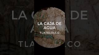 LA CAJA DE AGUA DE TLATELOLCO CON EL PROFESOR PANDA historia [upl. by Andromada]