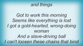 BB King  Chains And Things Lyrics [upl. by Aivata]