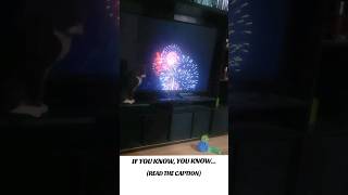 Firework desensitization counter conditioning with border collie puppy Pawsitrain Fireworks [upl. by Tnemelc741]