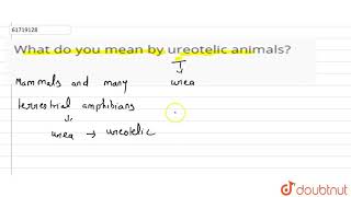 What do you mean by ureotelic animals [upl. by Malony]