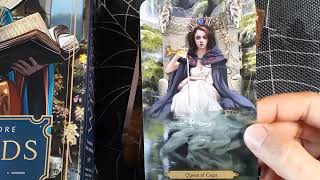 🎃Wizards Tarot  FlipThrough amp Timeless OneCard Reading🎃 [upl. by Jutta]