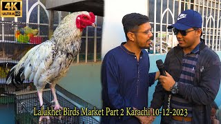 Lalukhet Birds Market 101223 Karachi Part 2  Unique and Rare Birds  سوق الببغاوات والطيور الديكة [upl. by Blythe]