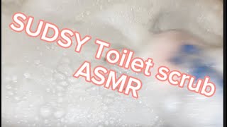 Sudsy toilet cleaning ASMR [upl. by Amandi]