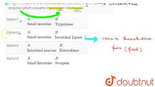 A…  a part of a alimentary canal  secretes B… an enzyme which converts tryps [upl. by Nidorf49]