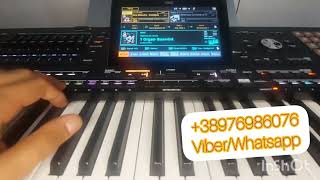 KORG PA5X NEW PLAY SET 2025 NOVO [upl. by Beka]