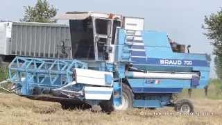 Braud 700 hydrostatic combine  akkerbouwbedrijf Willems  Aardenburg [upl. by Arlen761]