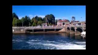 Ballard Locks and Fish Ladder [upl. by Baggott431]