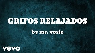 Mr Yosie  GRIFOS RELAJADOS AUDIO [upl. by Asalocin540]