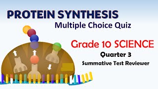 Science 10 Quarter 3 Periodical Exam Reviewer PROTEIN SYNTHESIS [upl. by Okomot272]