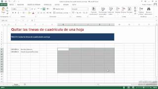 Quitar las Lineas de Cuadricula de una Hoja Excel 2010 [upl. by Knapp341]