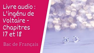 Livre audio Lingénu de Voltaire chapitres 17 et 18 [upl. by Danialah]