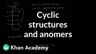 Carbohydrates  Cyclic structures and anomers  Chemical processes  MCAT  Khan Academy [upl. by Guglielmo]