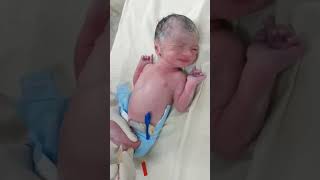 baby injection give 😱😱 not crying funny shorts shortfeeds nicucare [upl. by Dace]