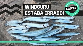 🌊 Windguru Falla Pesca de pejerrey en Arenas Verdes Panzon y Escardón escamudo pesca pejerrey [upl. by Raychel133]