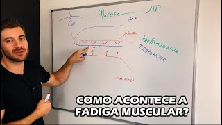 Como acontece a fadiga muscular Como Evitar [upl. by Ecniv]