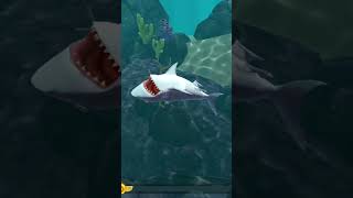 Hungry Shark Evolution  King Of Summer Vs All Sharks 🦈  Hungry Shark Evolution Hack Version1073 [upl. by Klenk]